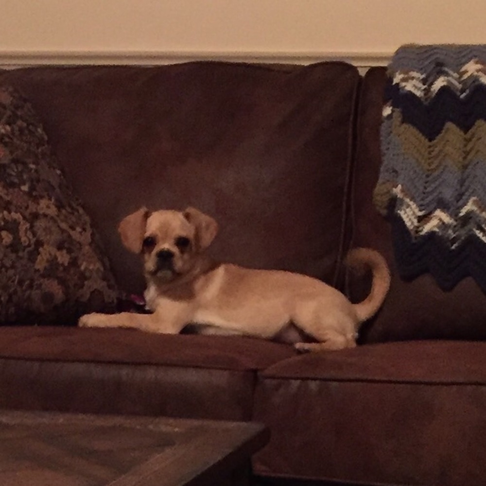 Meet your Posher, Juanita